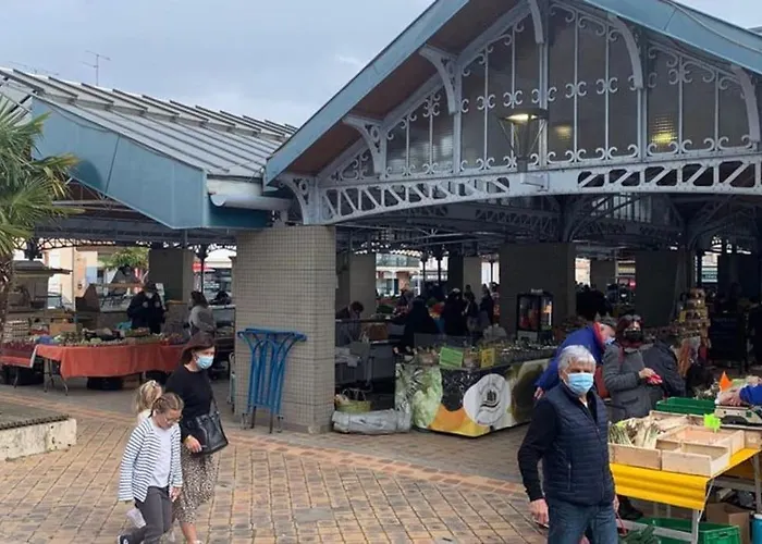 T2 Le Sudiste Appartement *